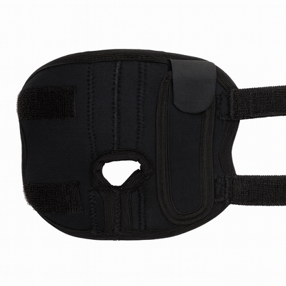 Hock Wrap for Dogs - Joint Protection