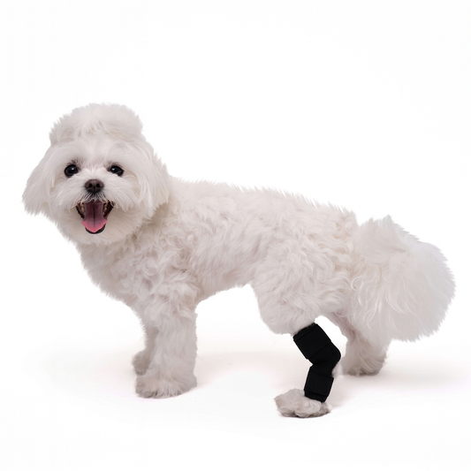 Hock Wrap for Dogs - Joint Protection
