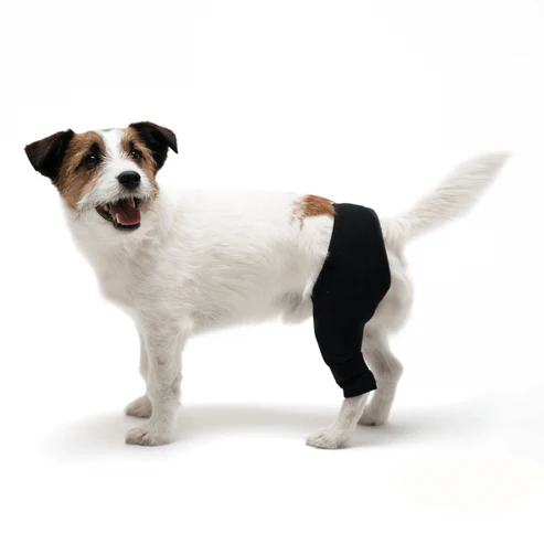 Double Knee Brace for Dogs - Cruciate Support & Pain Relief