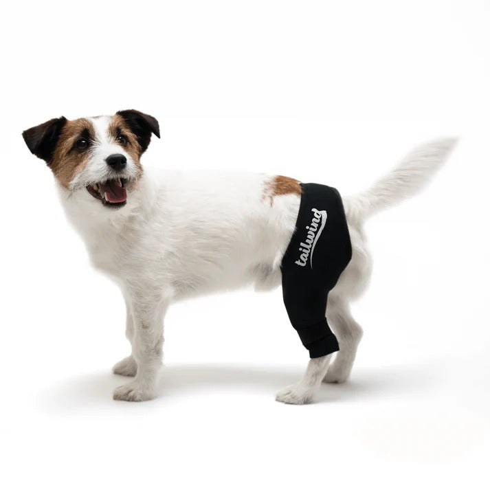 Double Knee Brace for Dogs - Cruciate Support & Pain Relief
