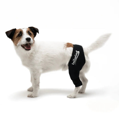 Double Knee Brace for Dogs - Cruciate Support & Pain Relief