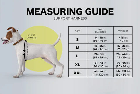 Dog Support Harness
